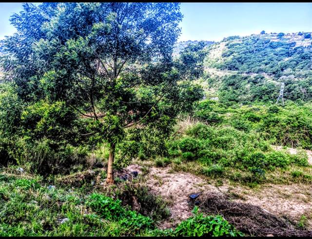 1,512M² VACANT LAND SOLD IN SHALLCROSS